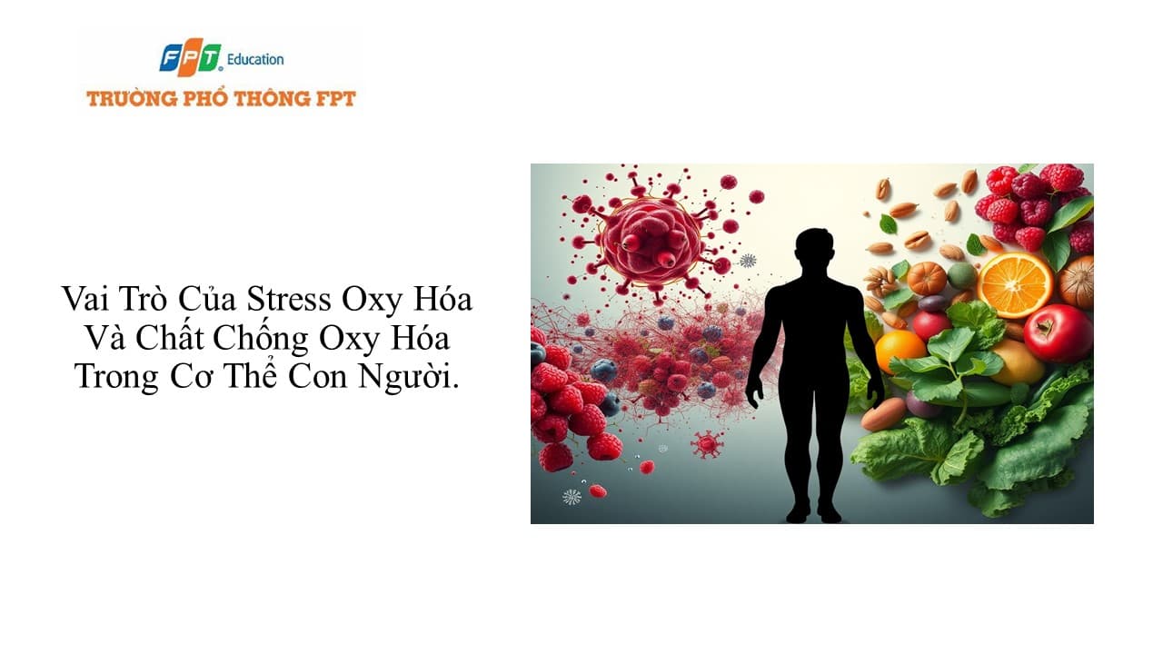 Hệ thống Phổ thông FPT Schools