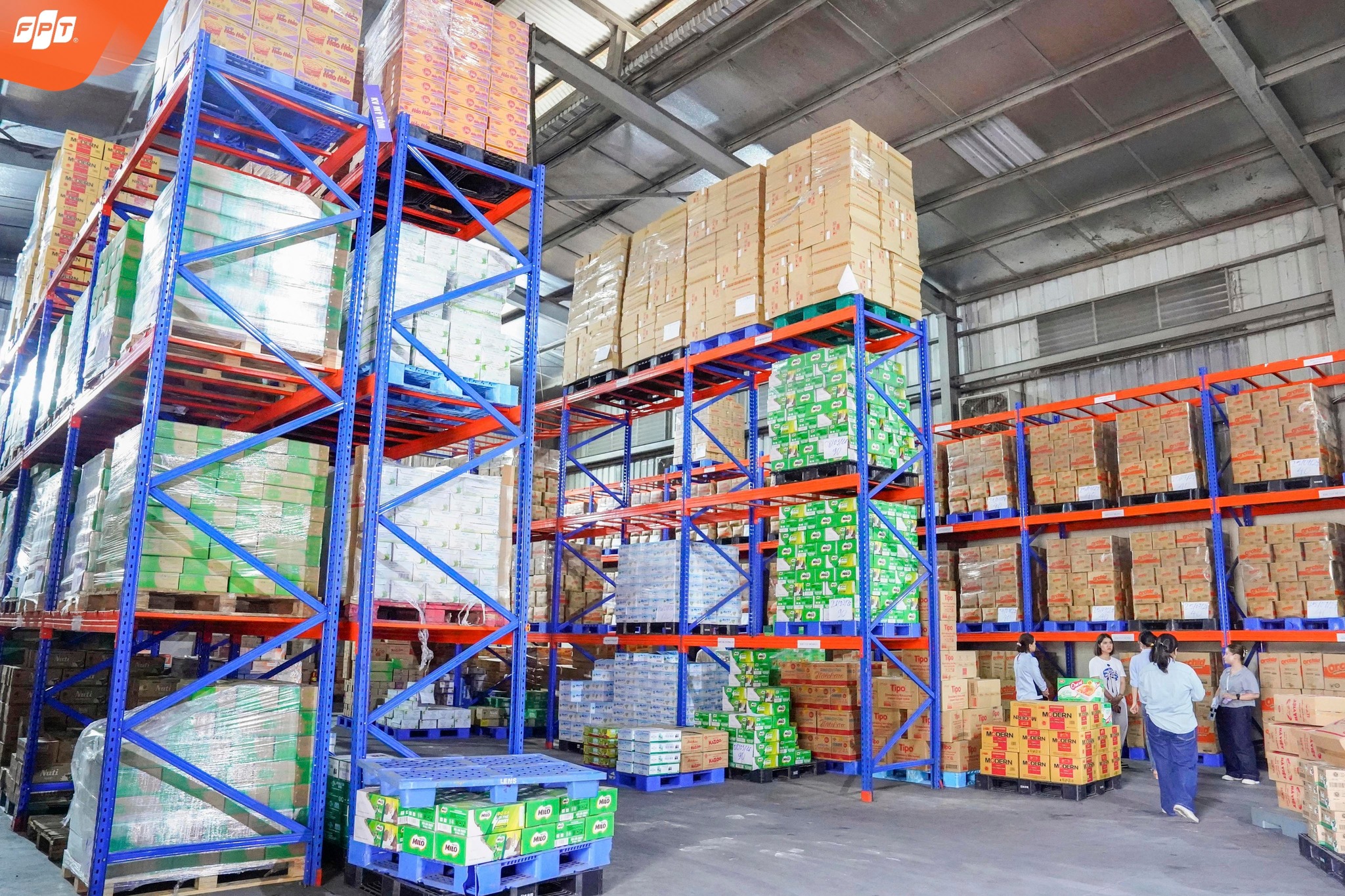 FPT School Hải Phòng Đánh Giá Toàn Diện Nhà Cung Cấp - Đảm Bảo An Toàn Thực Phẩm Trước Năm Học