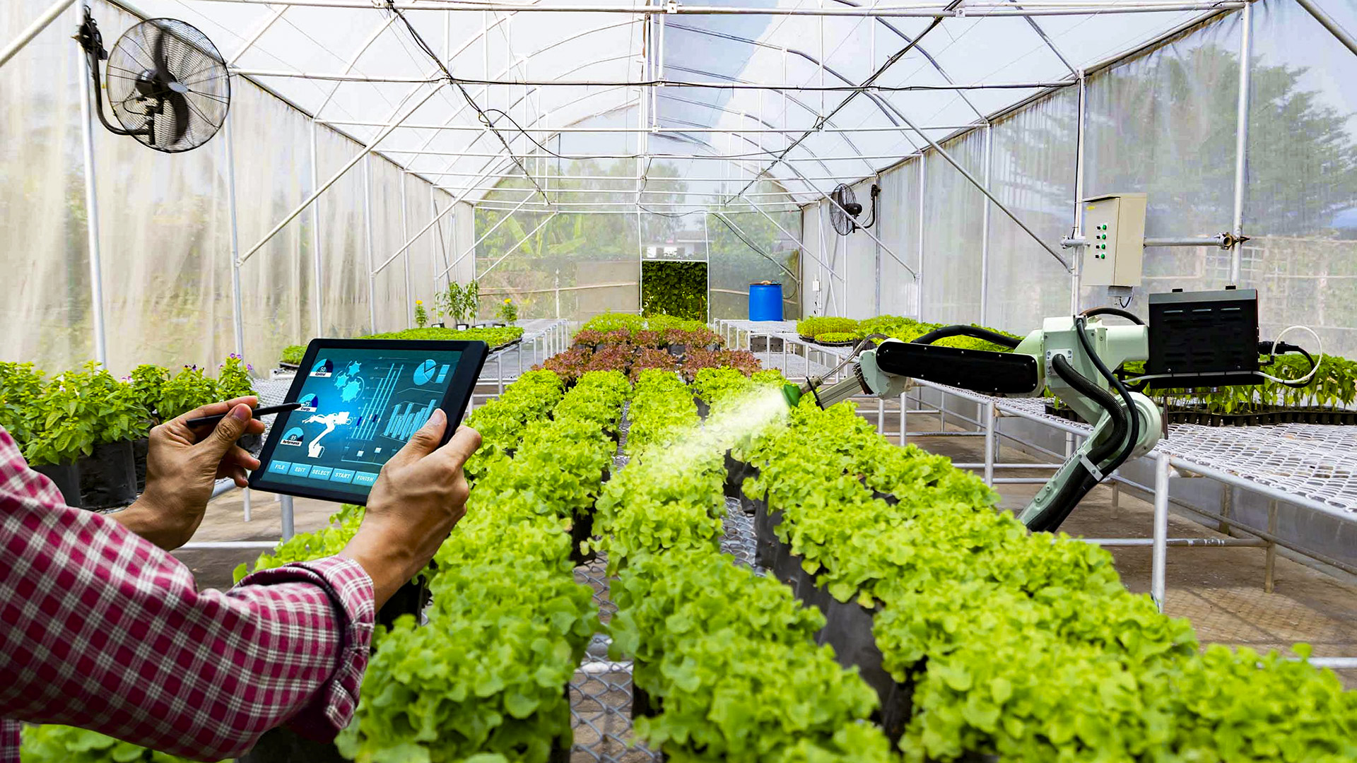 Cơ hội công tác tại các tổ chức bảo vệ môi trường, nông nghiệp và thủy sản