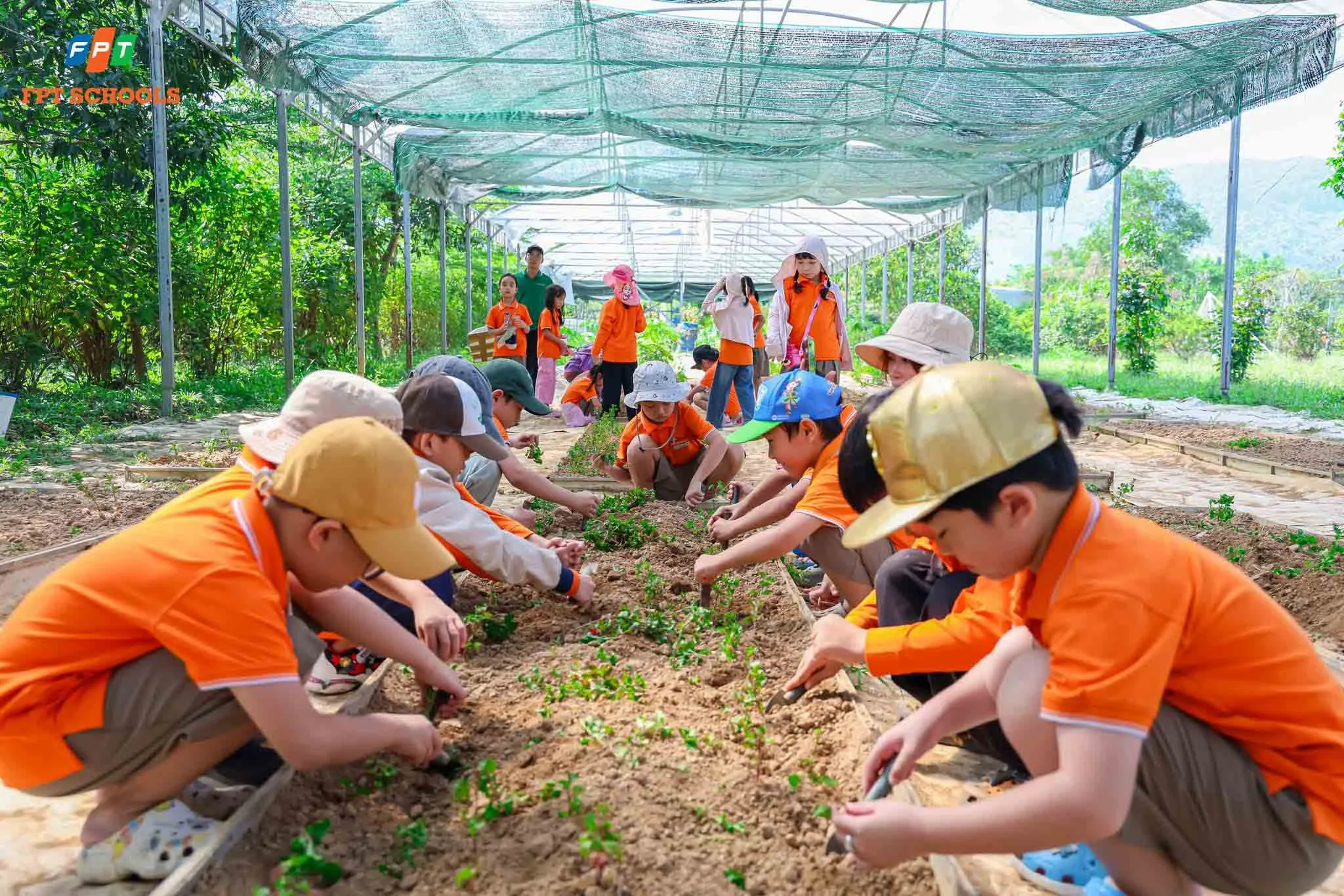 chuong-trinh-giao-duc-tai-fpt-school-fsc12dn