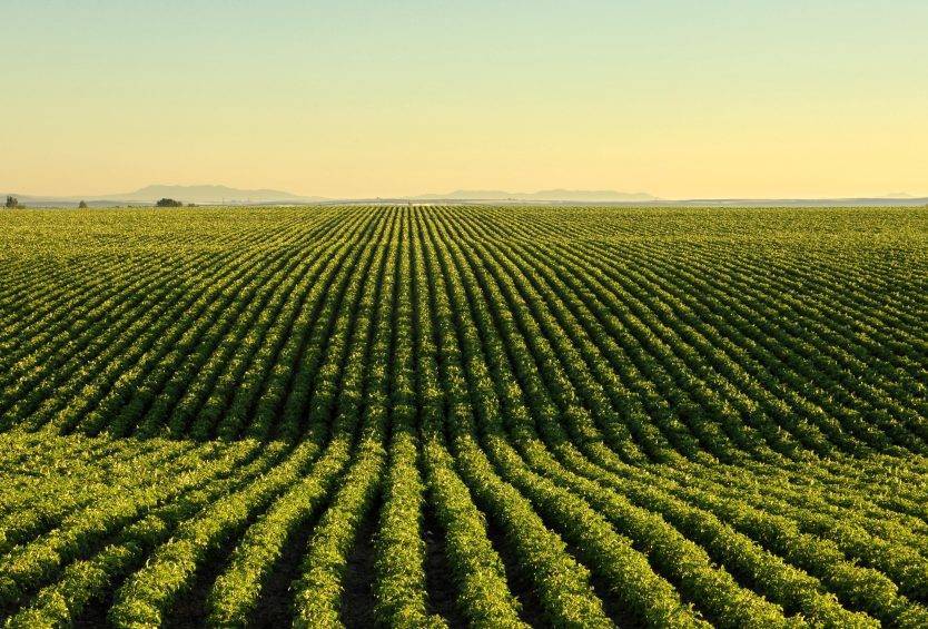 Hệ thống Phổ thông FPT Schools