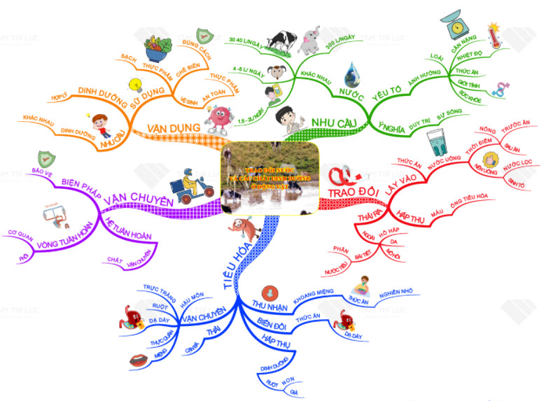 10 mẫu sơ đồ tư duy đẹp, sáng tạo hỗ trợ tư duy nhanh hiệu quả - FPT Education Sơ đồ tư duy hình ảnh kết hợp biểu tượng