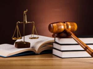 học luật thi khối nào