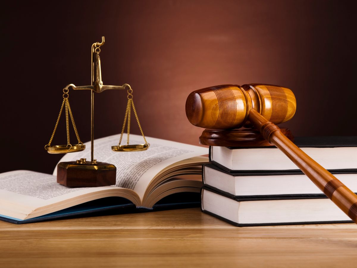 học luật thi khối nào