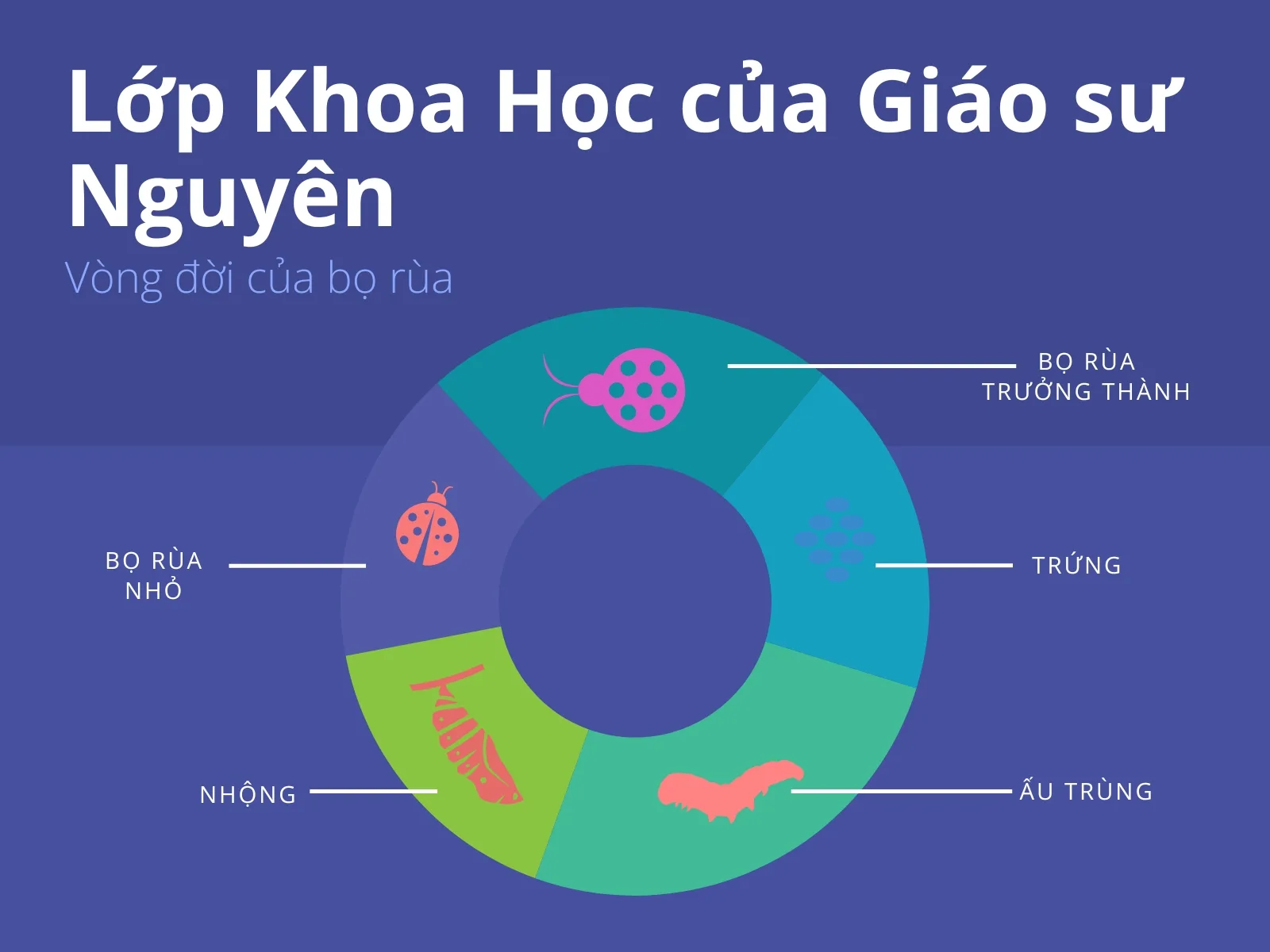 Biểu đồ tròn là gì