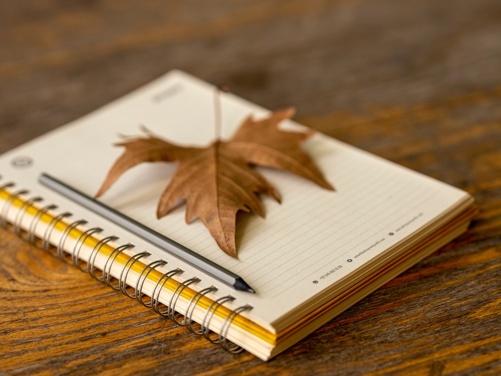 Sổ lưu bút của cả lớp