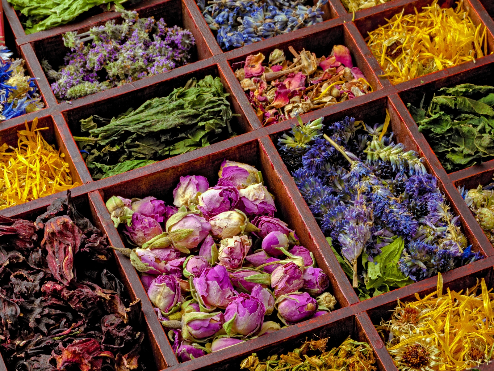 Trà thảo mộc, trà hoa