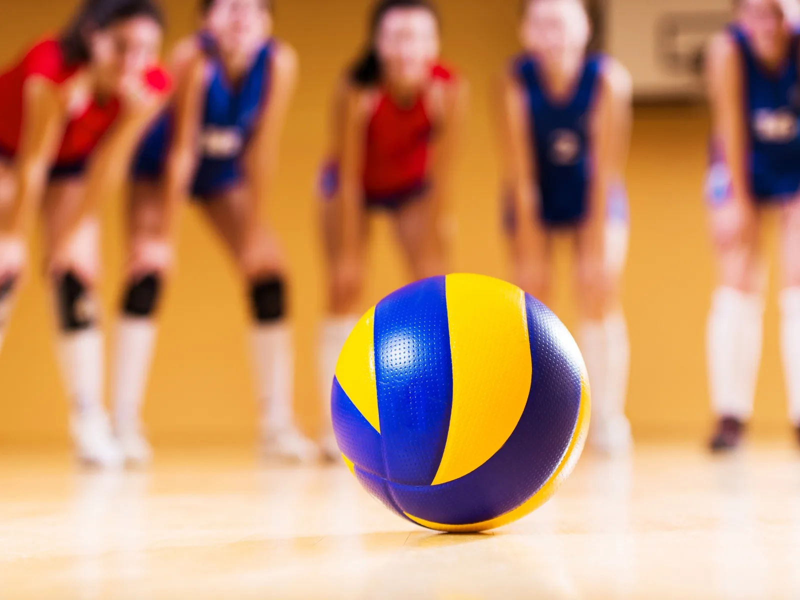 Chơi bóng chuyền có giúp tăng chiều cao không? Lưu ý khi luyện tập để hiệu quả hơn | FPT Schools