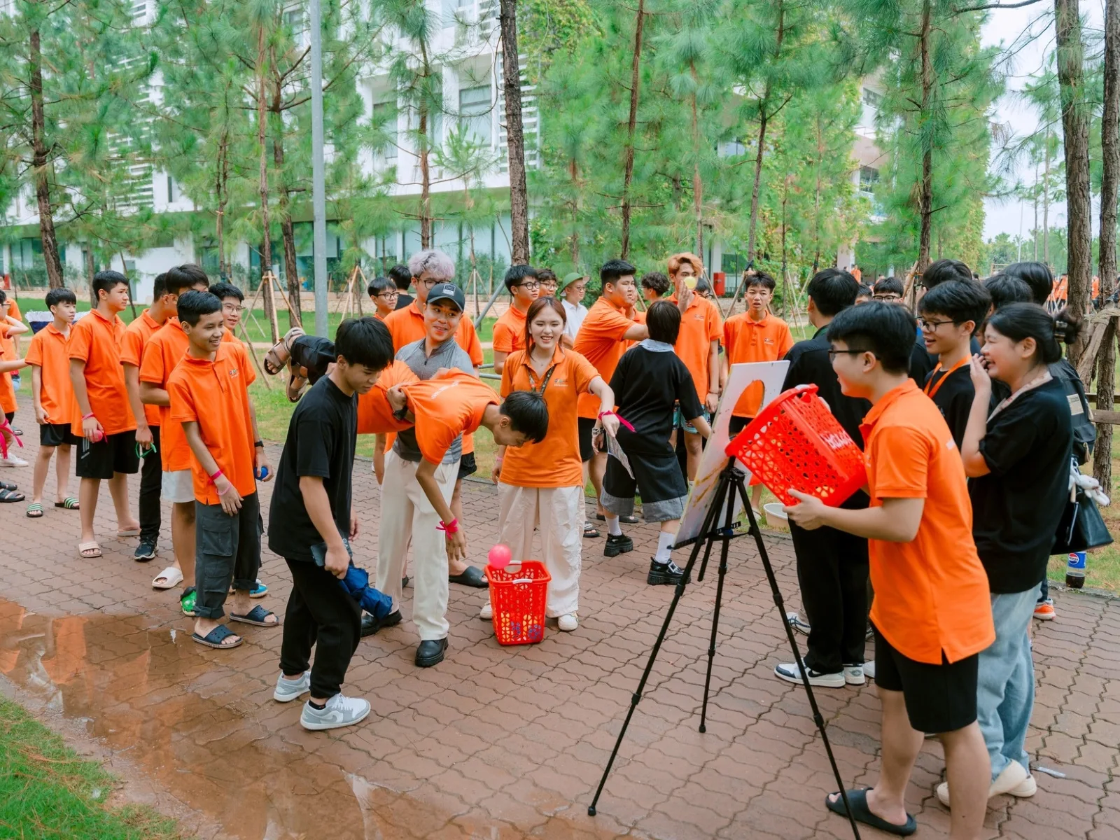 Năng Khiếu Thể Thao Là Gì? 5 Bước Cơ Bản Giúp Bạn Phát Triển Tiềm Năng Thể Chất