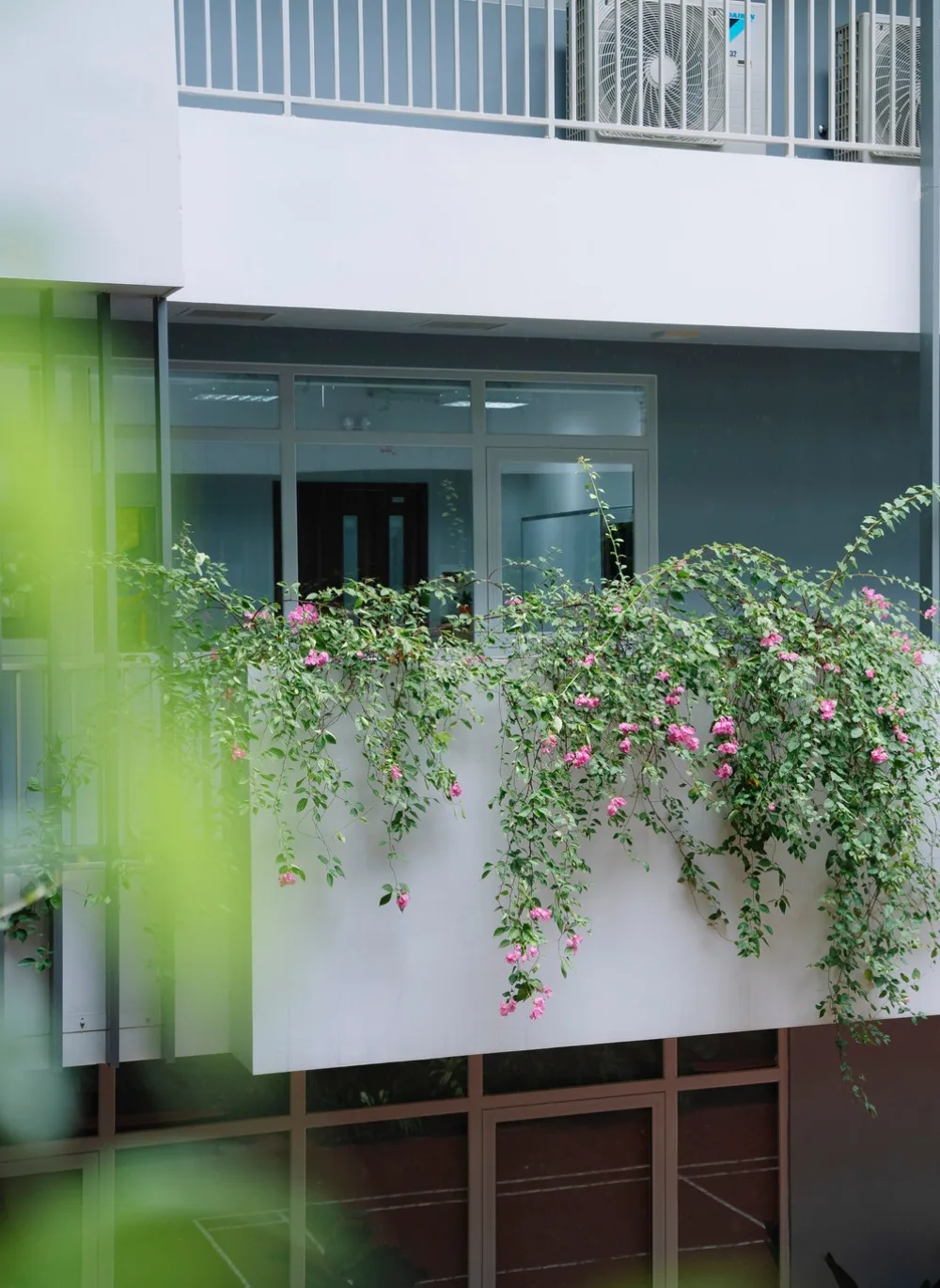 CS FSC BẮC GIANG | FPT Schools