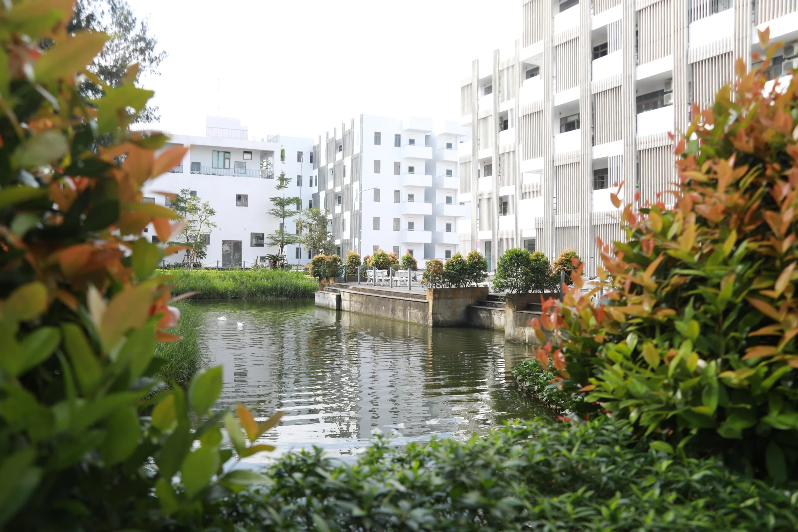 CS FSC ĐÀ NẴNG 3 - FPT Education csvc_fsc3dn 5