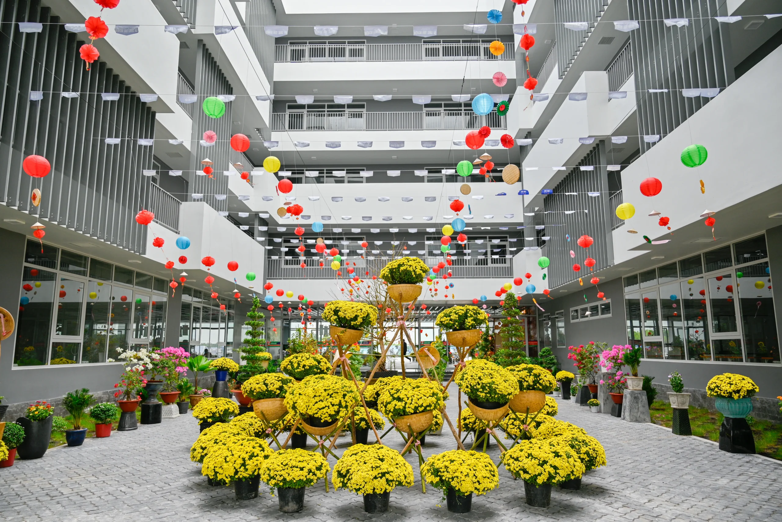 Hậu Giang | FPT Schools