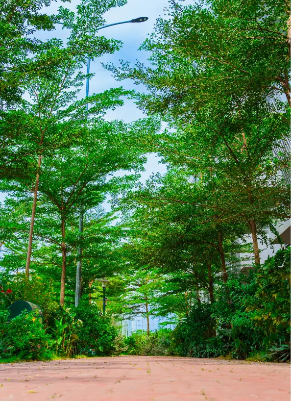 Khuôn viên FPT School Quy Nhơn