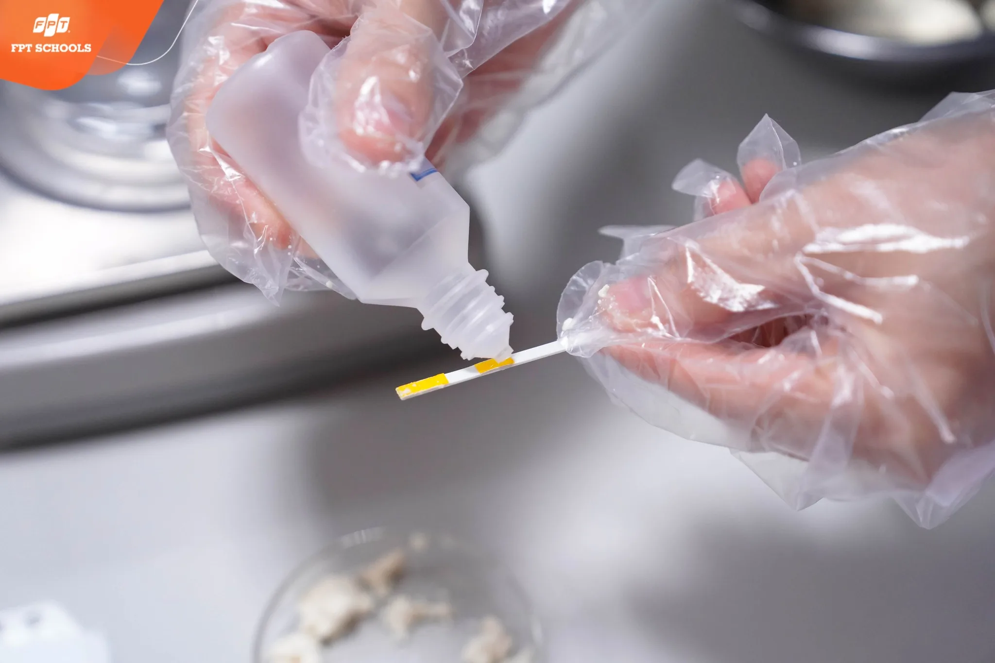 Chủ động kiểm tra và đánh giá bếp ăn – FPT School Hải Phòng đảm bảo bữa ăn an toàn cho học sinh | FPT Schools