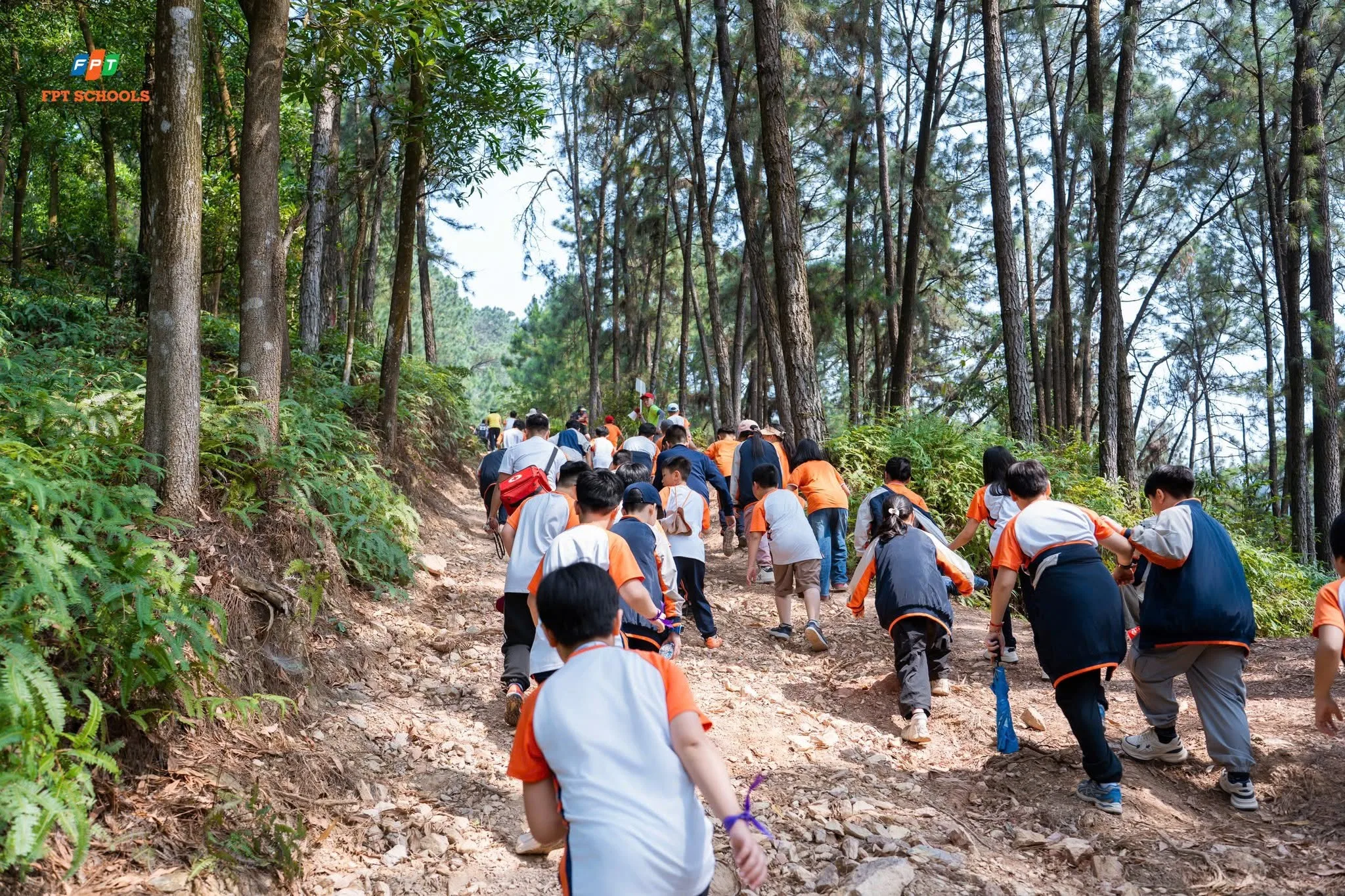 Học sinh Nhà F trải nghiệm dã ngoại tại Khu sinh thái Thiên Phú Lâm | FPT Schools