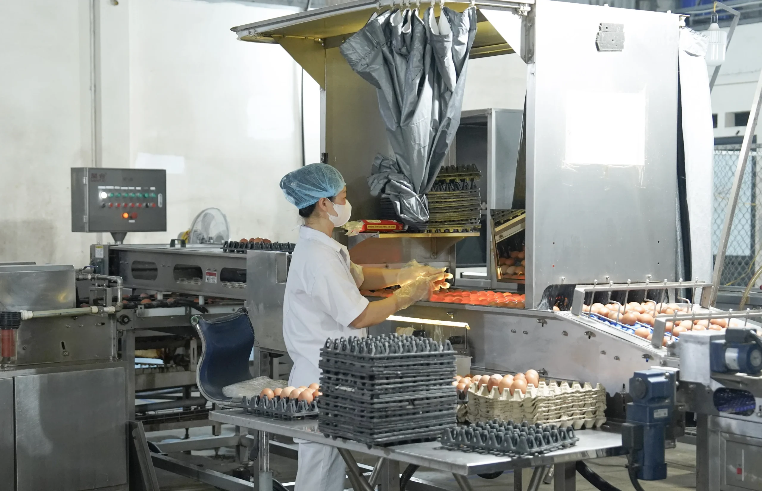 FPT School Hải Phòng kiểm tra Nhà cung cấp trứng.
