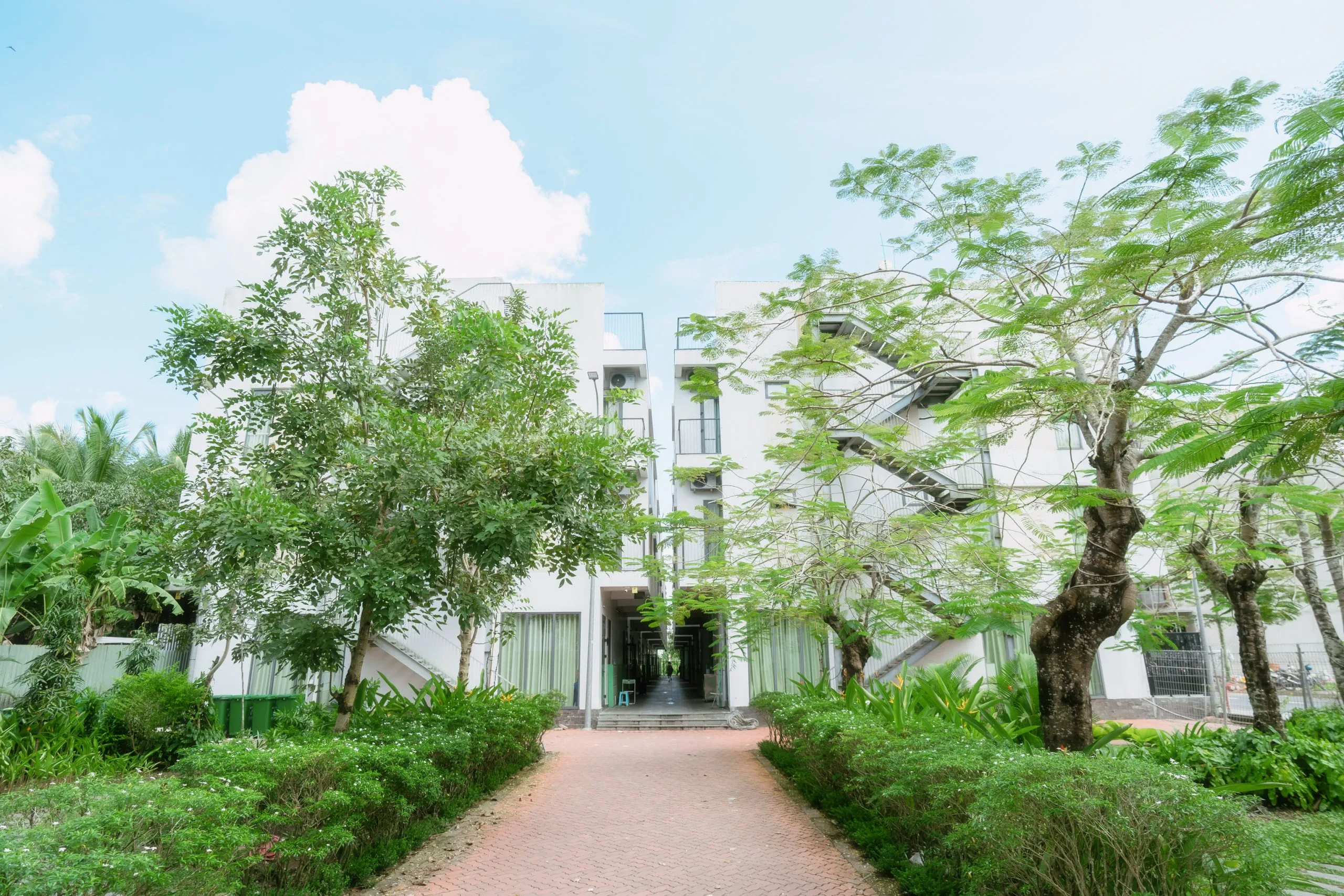 Trường THPT FPT Cần Thơ | FPT Schools