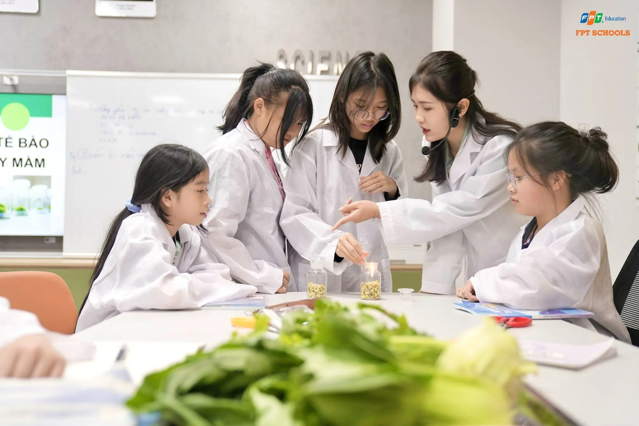 Trường Tiểu học, THCS và THPT FPT Bắc Giang | FPT Schools