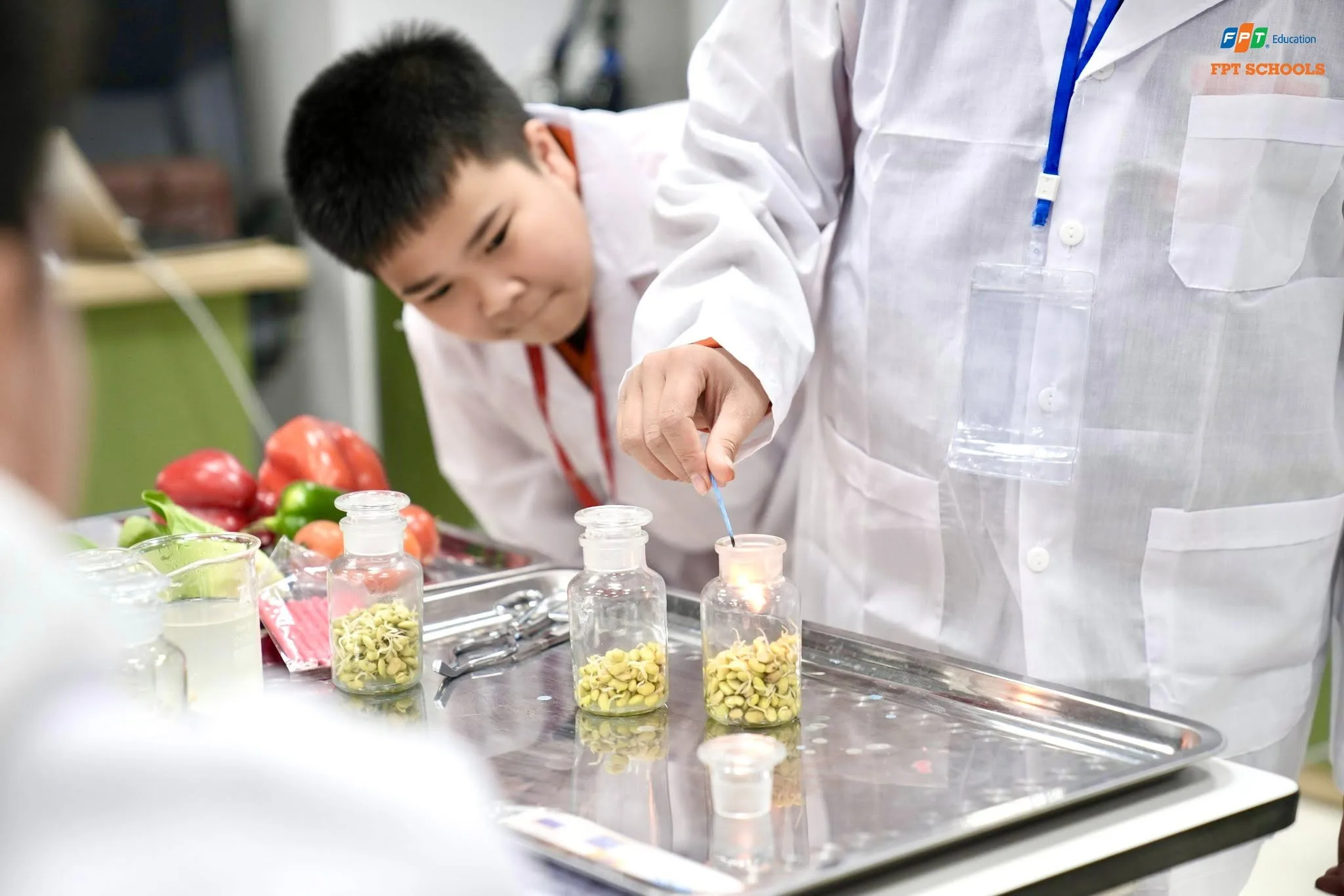 Trường Tiểu học, THCS và THPT FPT Bắc Giang | FPT Schools