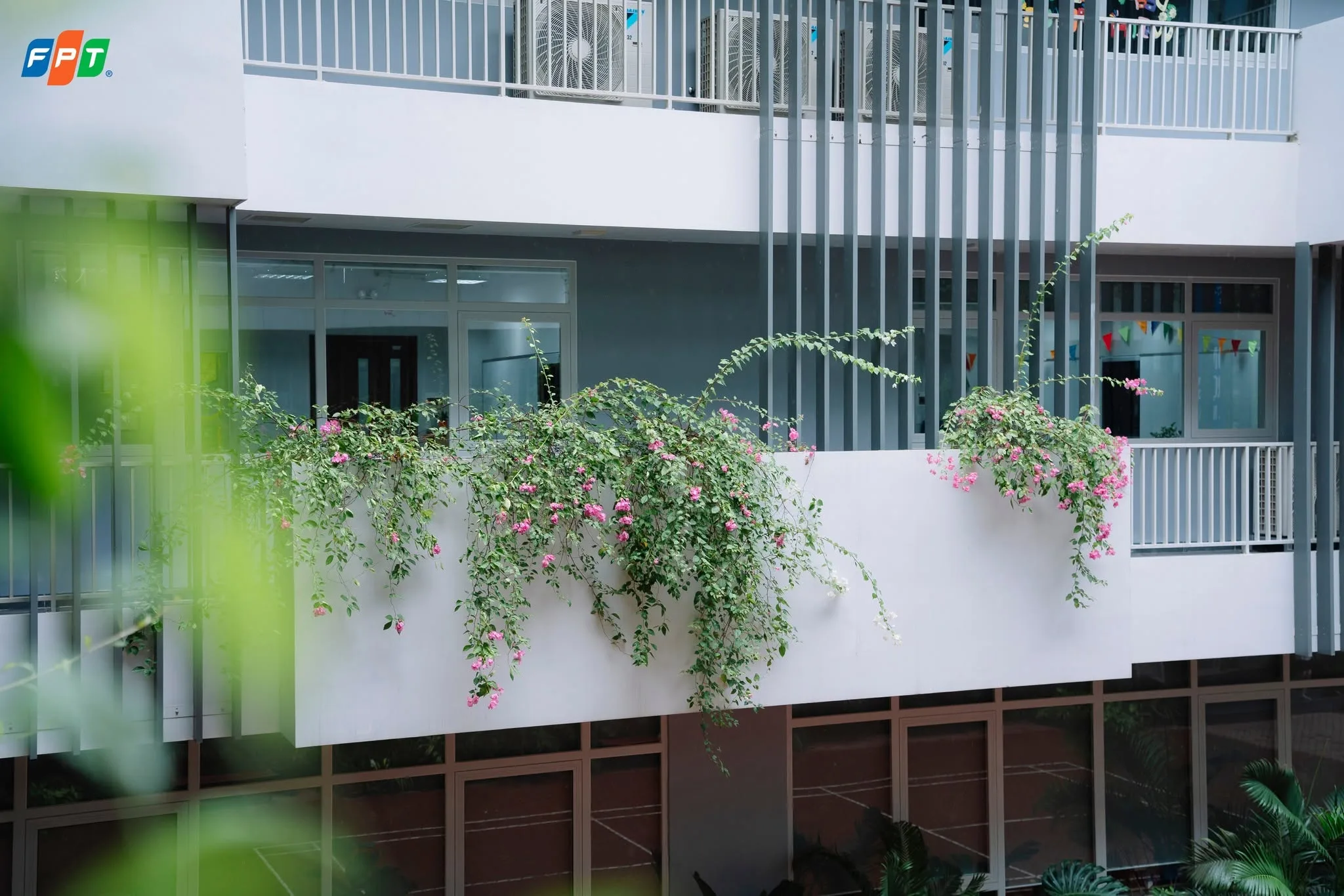 Trường Tiểu học, THCS và THPT FPT Bắc Giang | FPT Schools