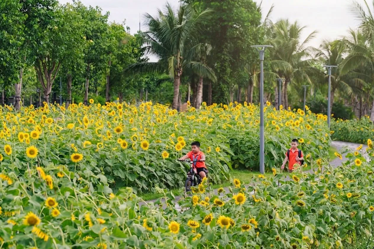Trường Tiểu học, THCS và THPT FPT Vinh | FPT Schools