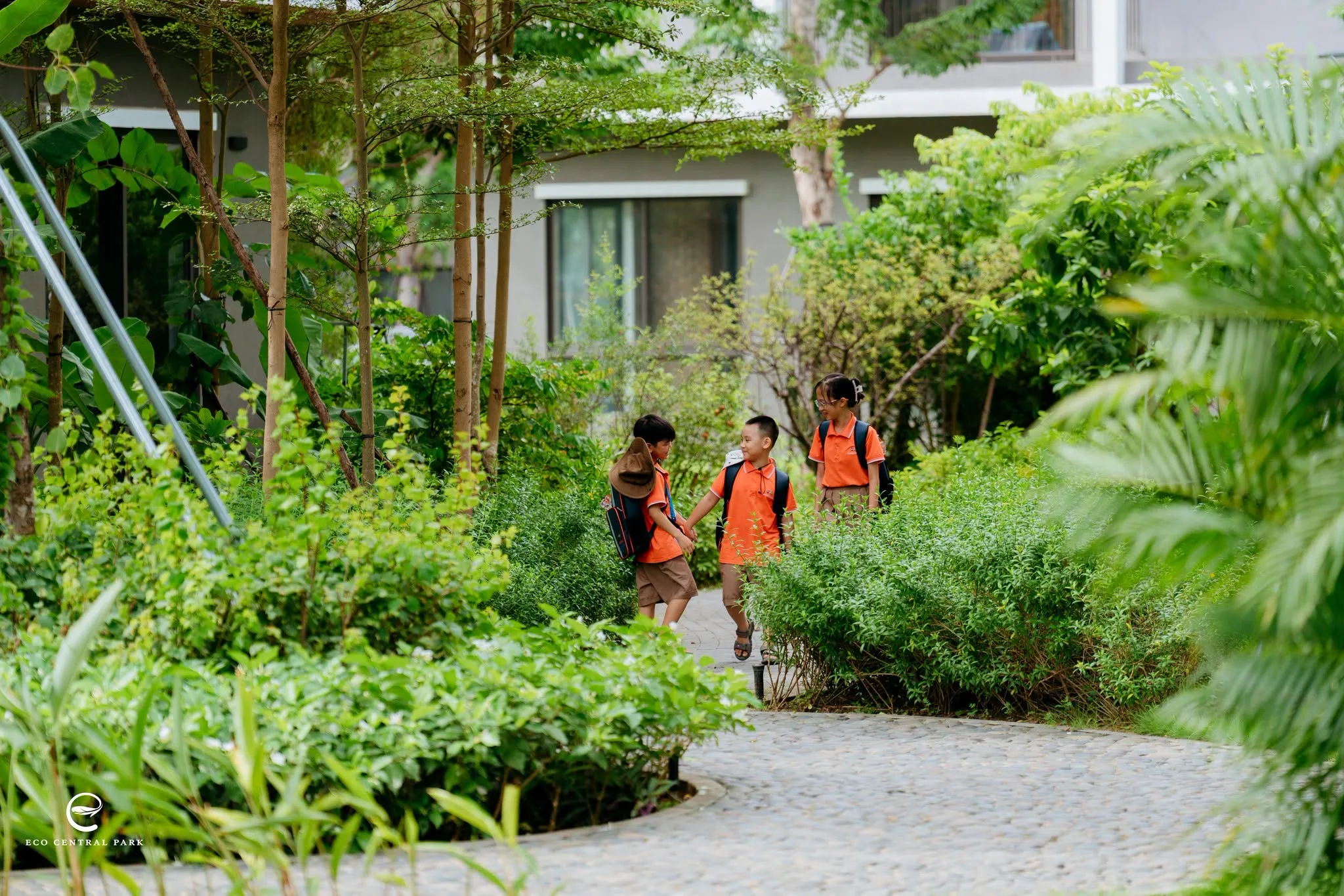 Trường Tiểu học, THCS và THPT FPT Vinh | FPT Schools