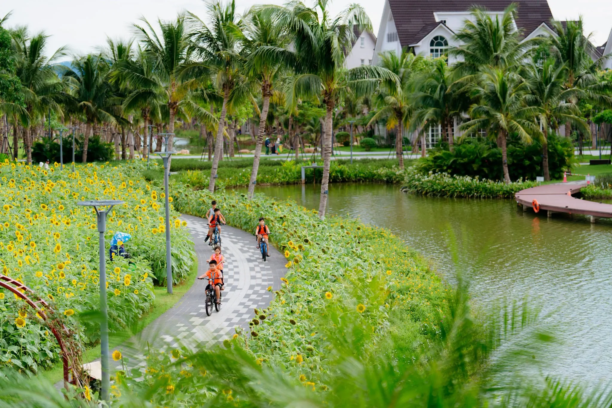 Trường Tiểu học, THCS và THPT FPT Vinh | FPT Schools
