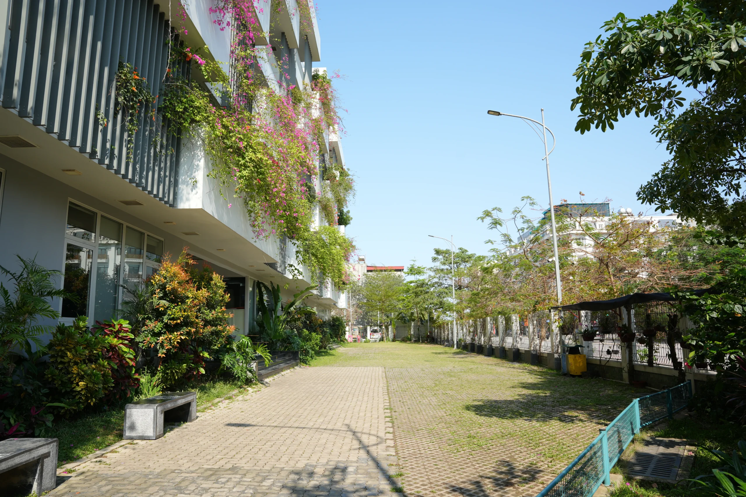 Trường Tiểu học, THCS và THPT FPT Bắc Ninh | FPT Schools