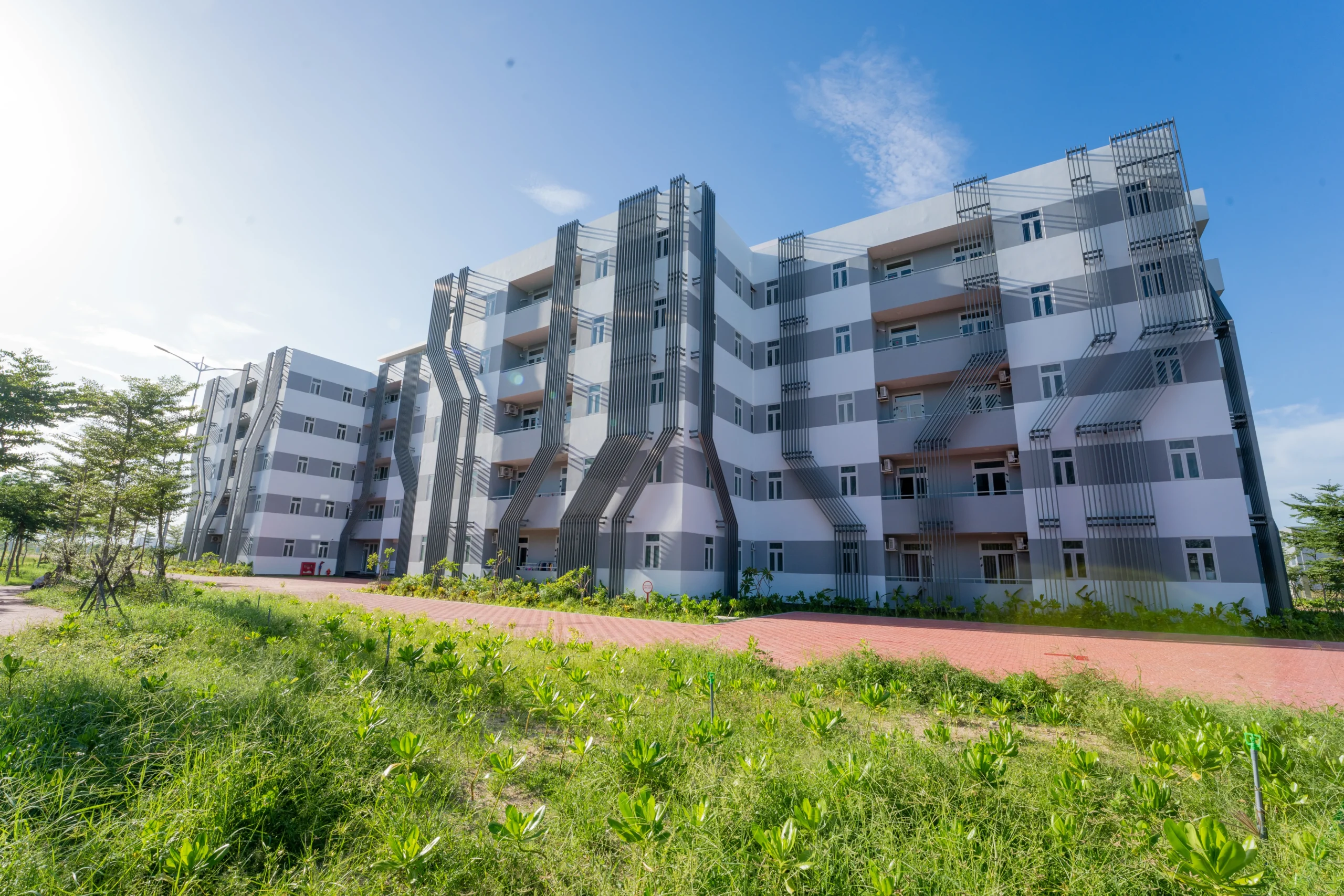 Trường THPT FPT Quy Nhơn | FPT Schools