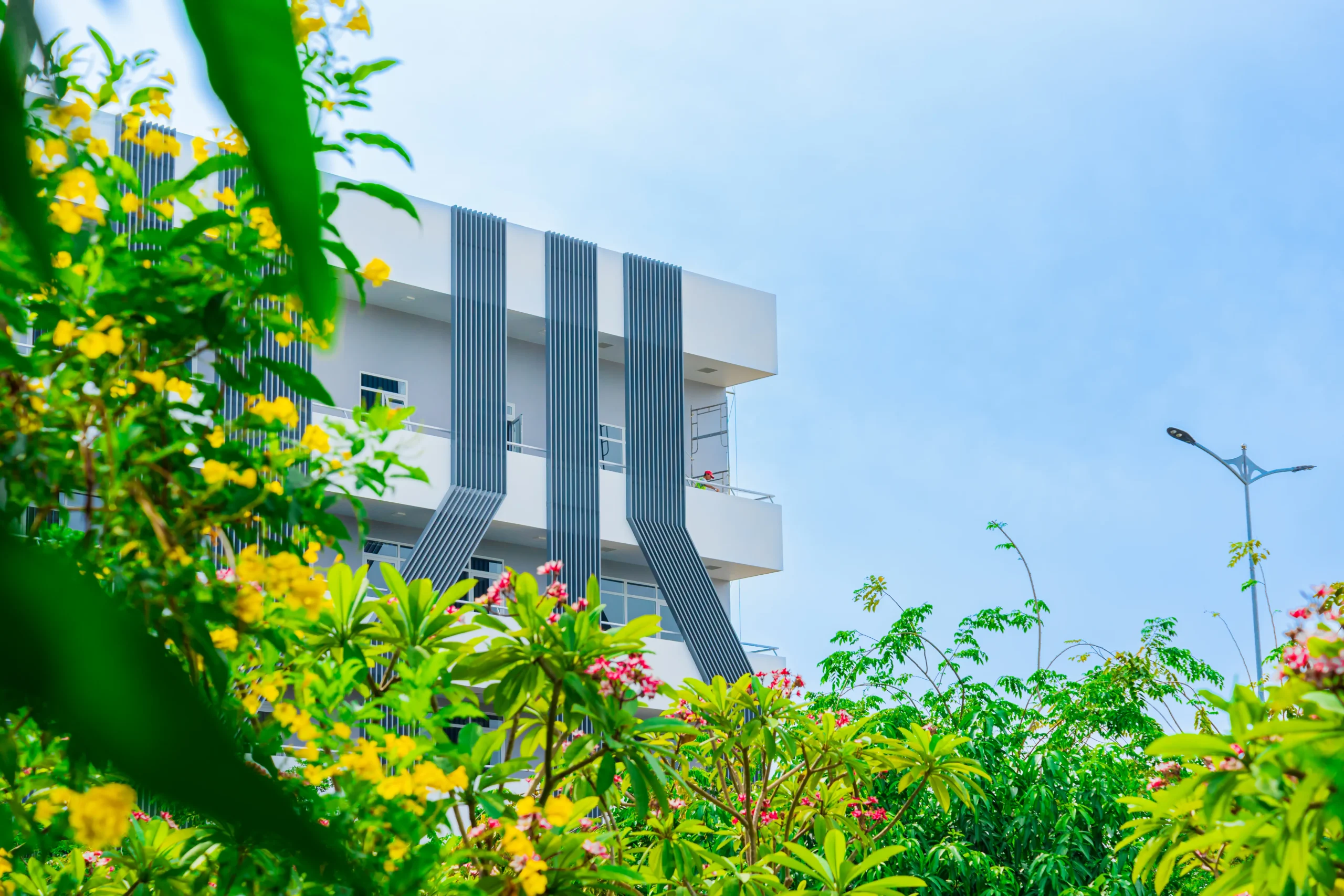 Trường THPT FPT Quy Nhơn | FPT Schools
