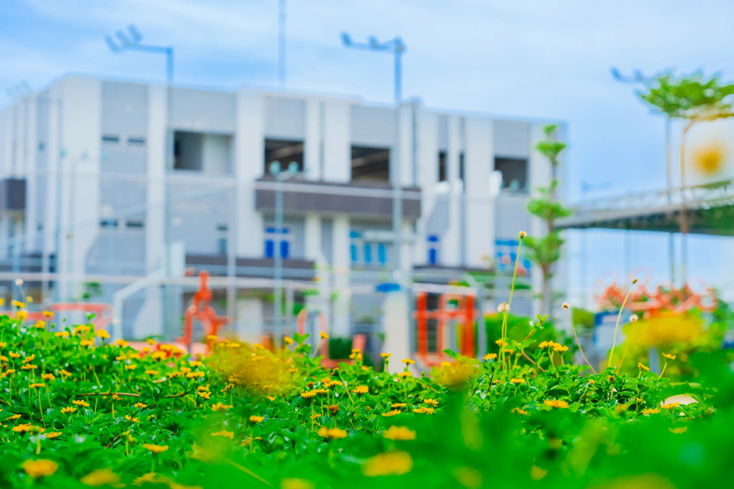 Trường THPT FPT Quy Nhơn | FPT Schools
