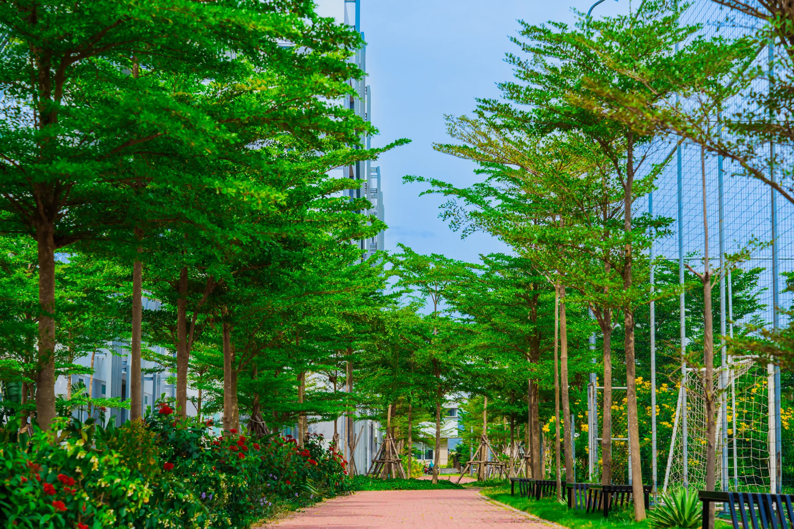 Trường THPT FPT Quy Nhơn | FPT Schools