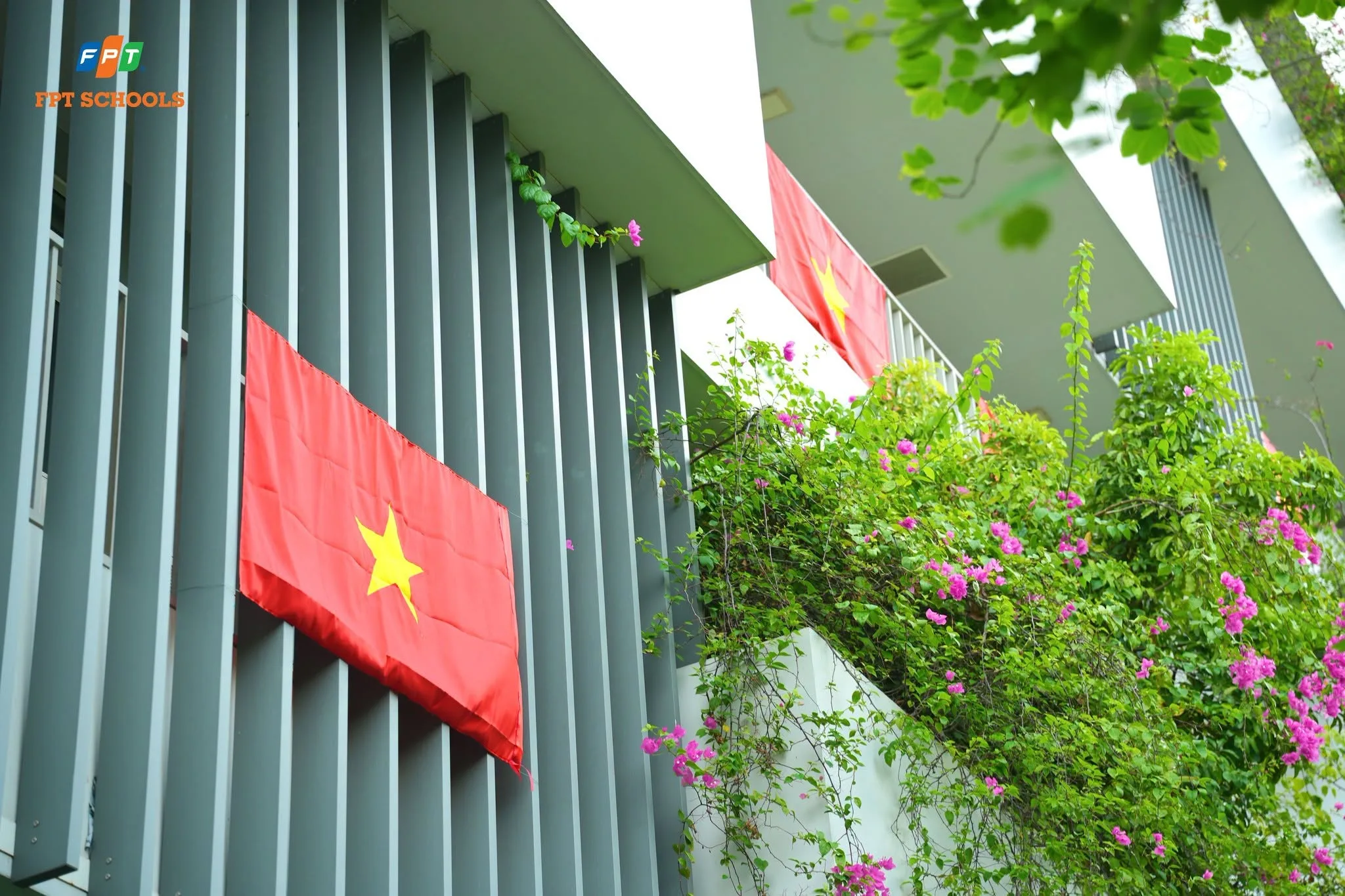 Hệ thống Phổ thông FPT Schools