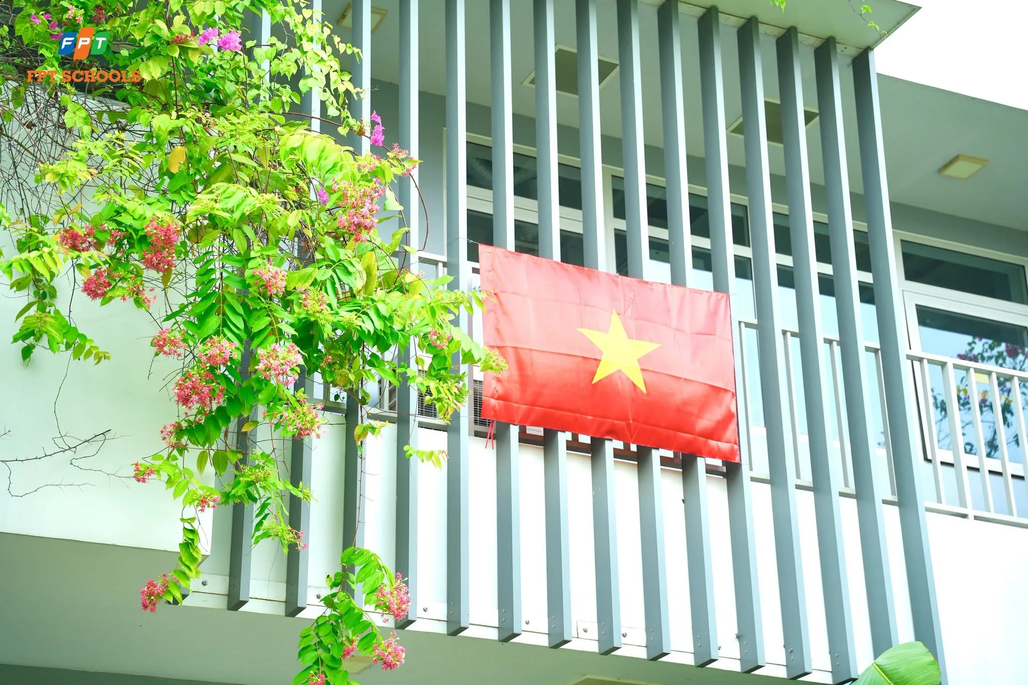 Hệ thống Phổ thông FPT Schools