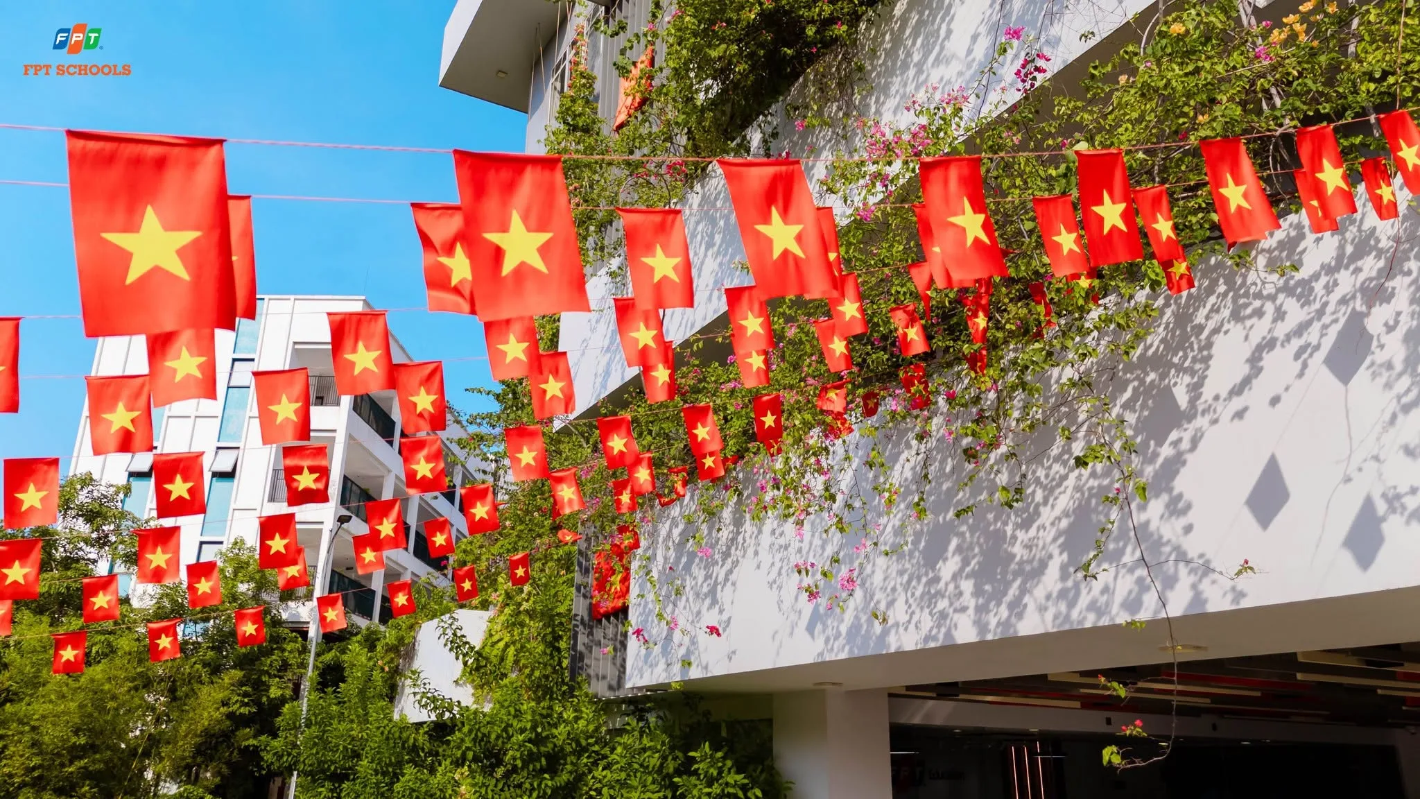 Hệ thống Phổ thông FPT Schools