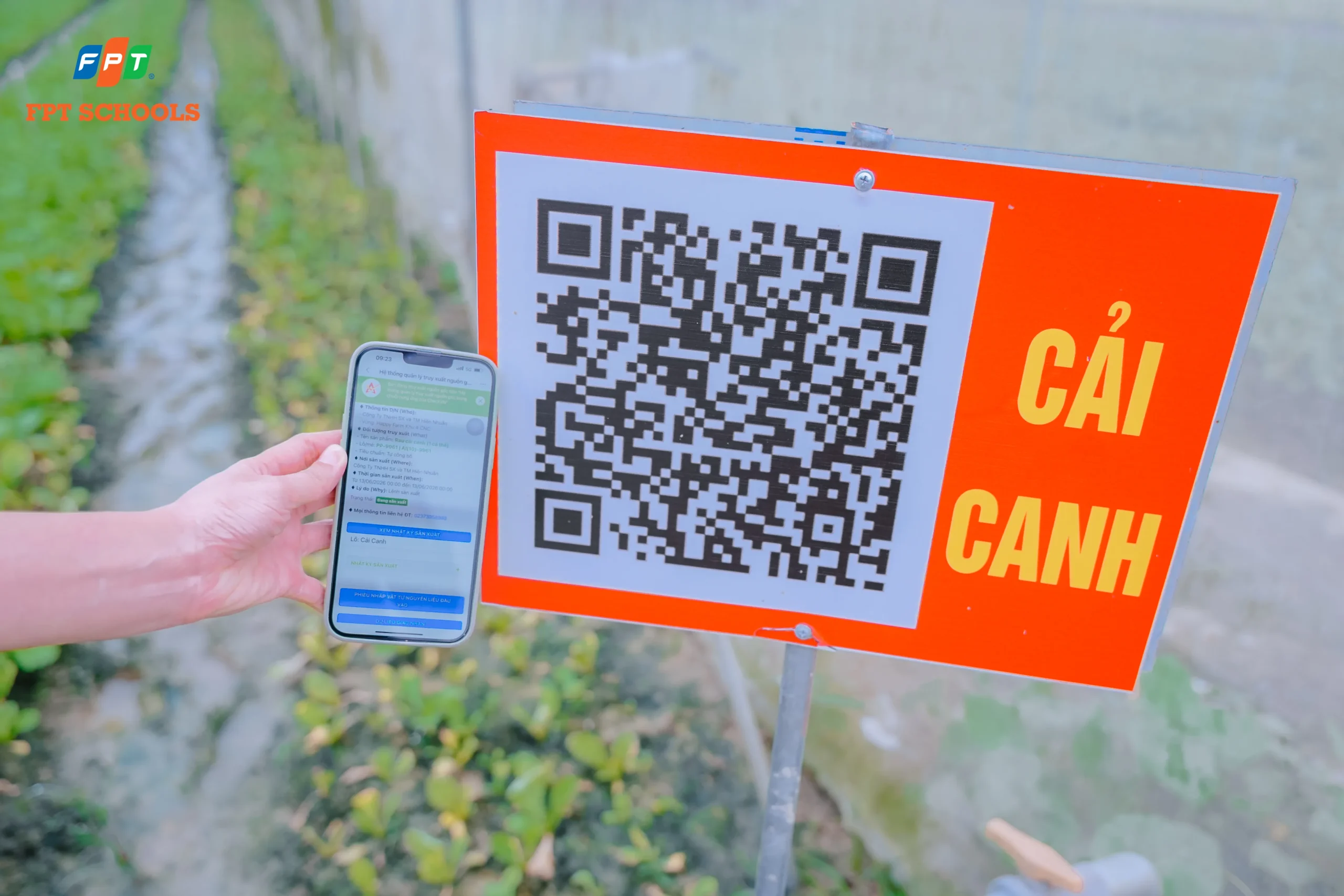 FSchool Thanh Hoá và Ban đại diện cha mẹ học sinh đồng hành giám sát Nhà cung ứng thực phẩm | FPT Schools
