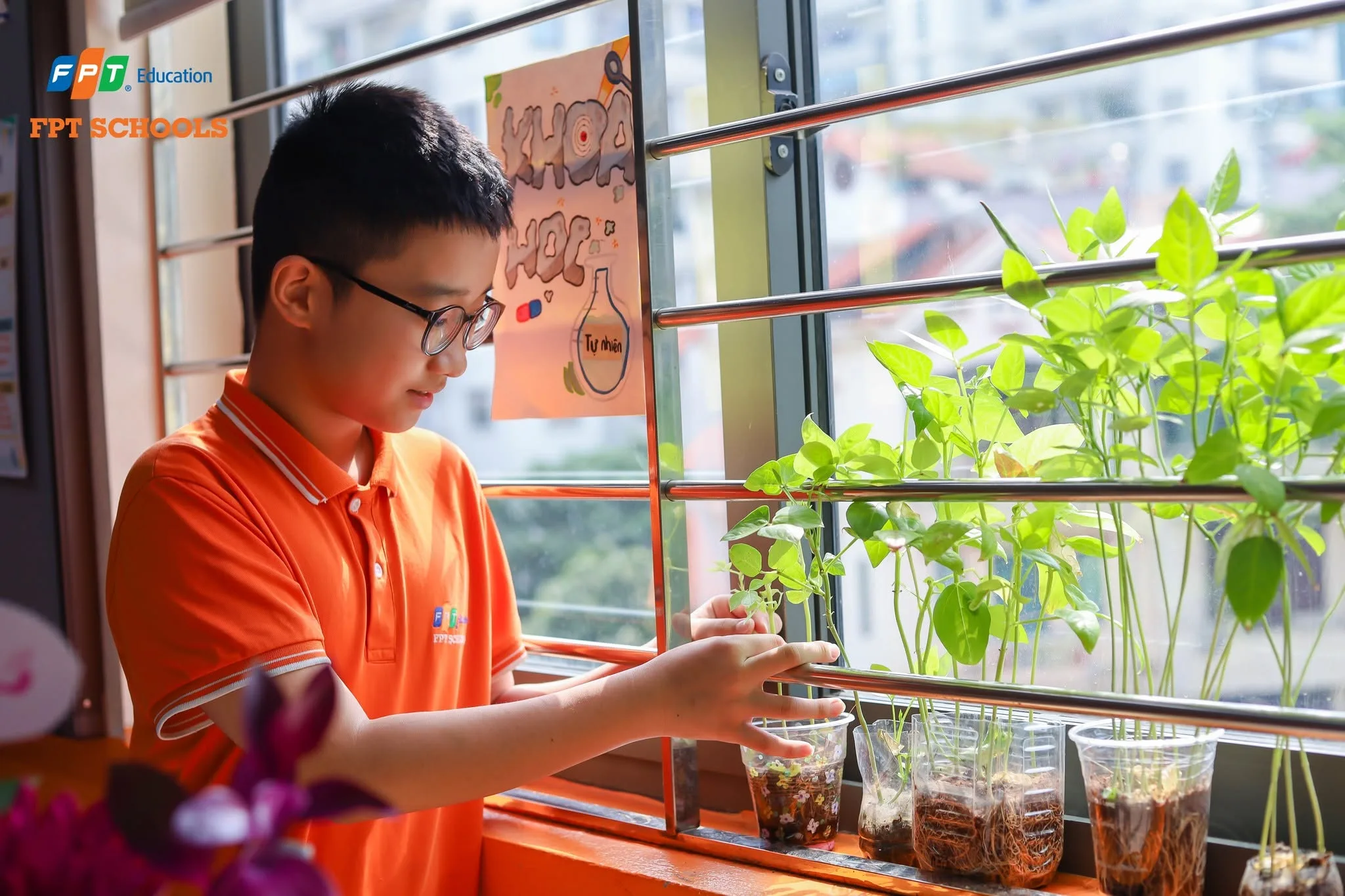 Trường học xanh là gì? Mô hình giáo dục bền vững hiện nay | FPT Schools