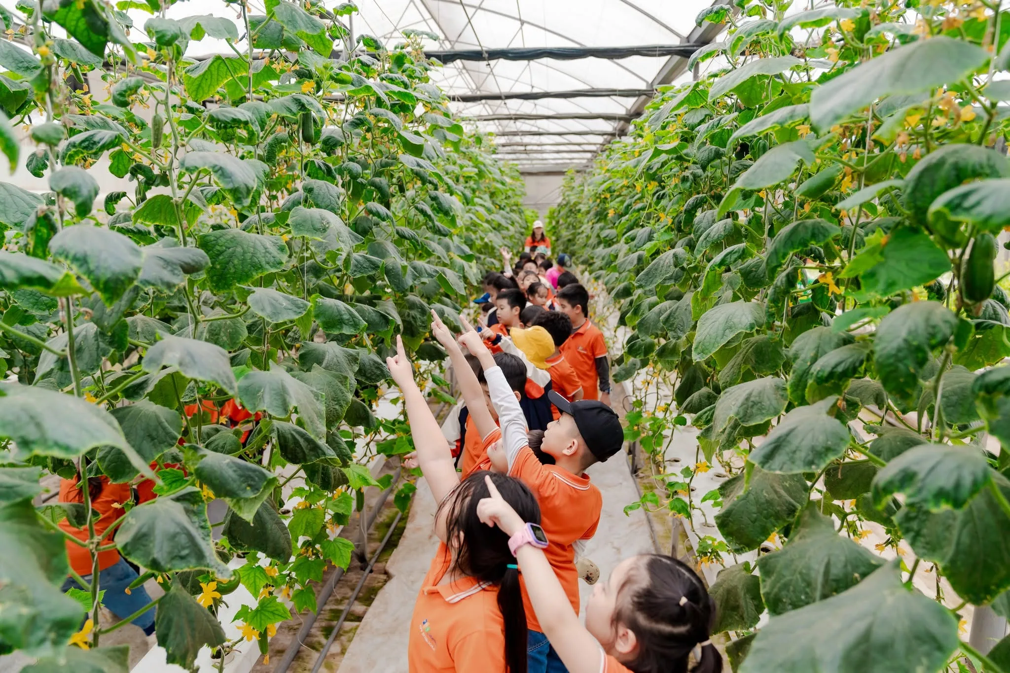Trường học xanh là gì? Mô hình giáo dục bền vững hiện nay | FPT Schools
