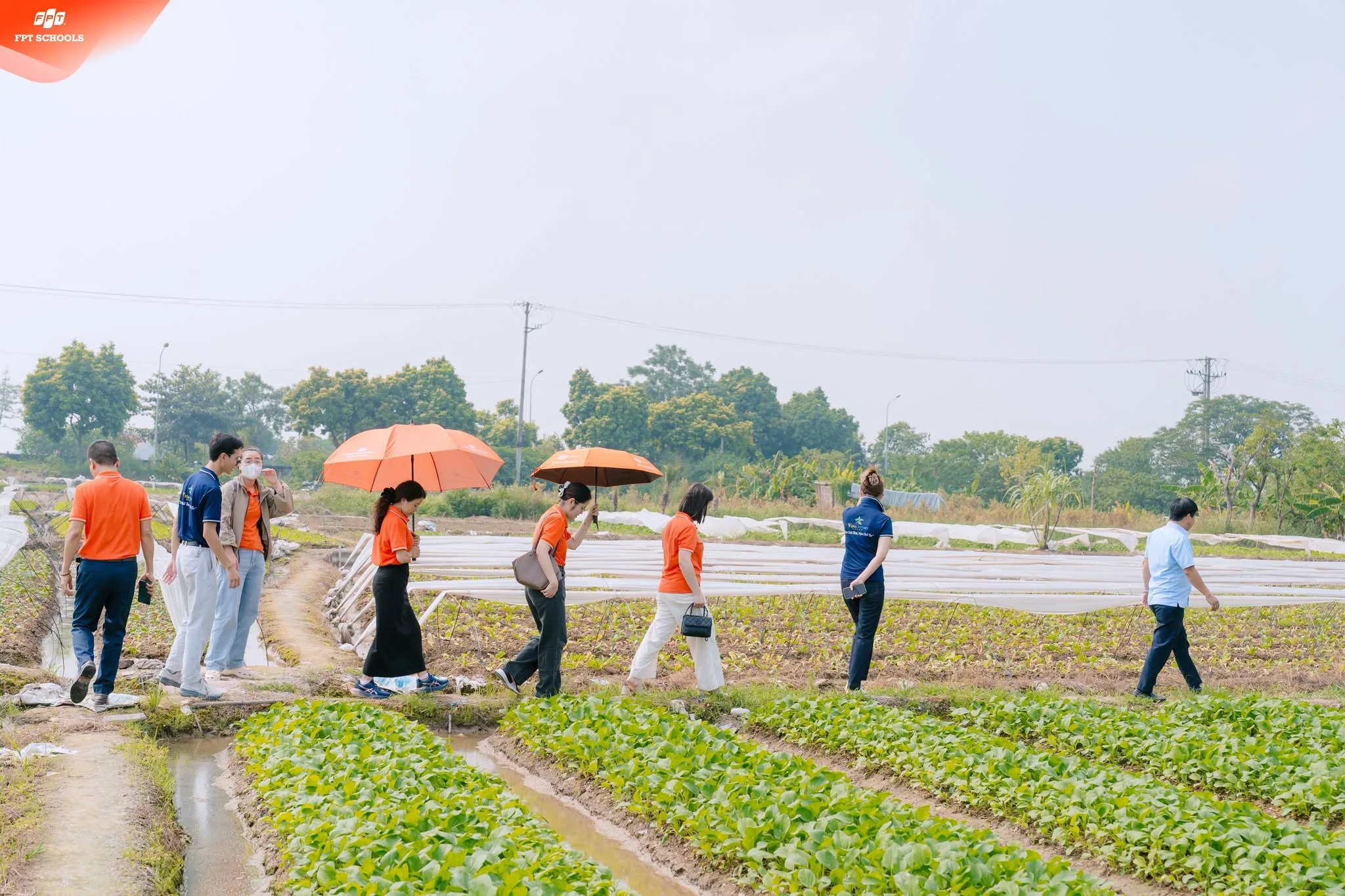 An toàn thực phẩm tại FSchool Tây Hà Nội: Kiểm soát từ nguồn nguyên liệu đến bữa ăn học đường - FPT Education Đoàn công tác tìm hiểu quy trình cung ứng nông sản tại Hợp tác xã Đông Anh, Phúc Thịnh, Hà Nội.