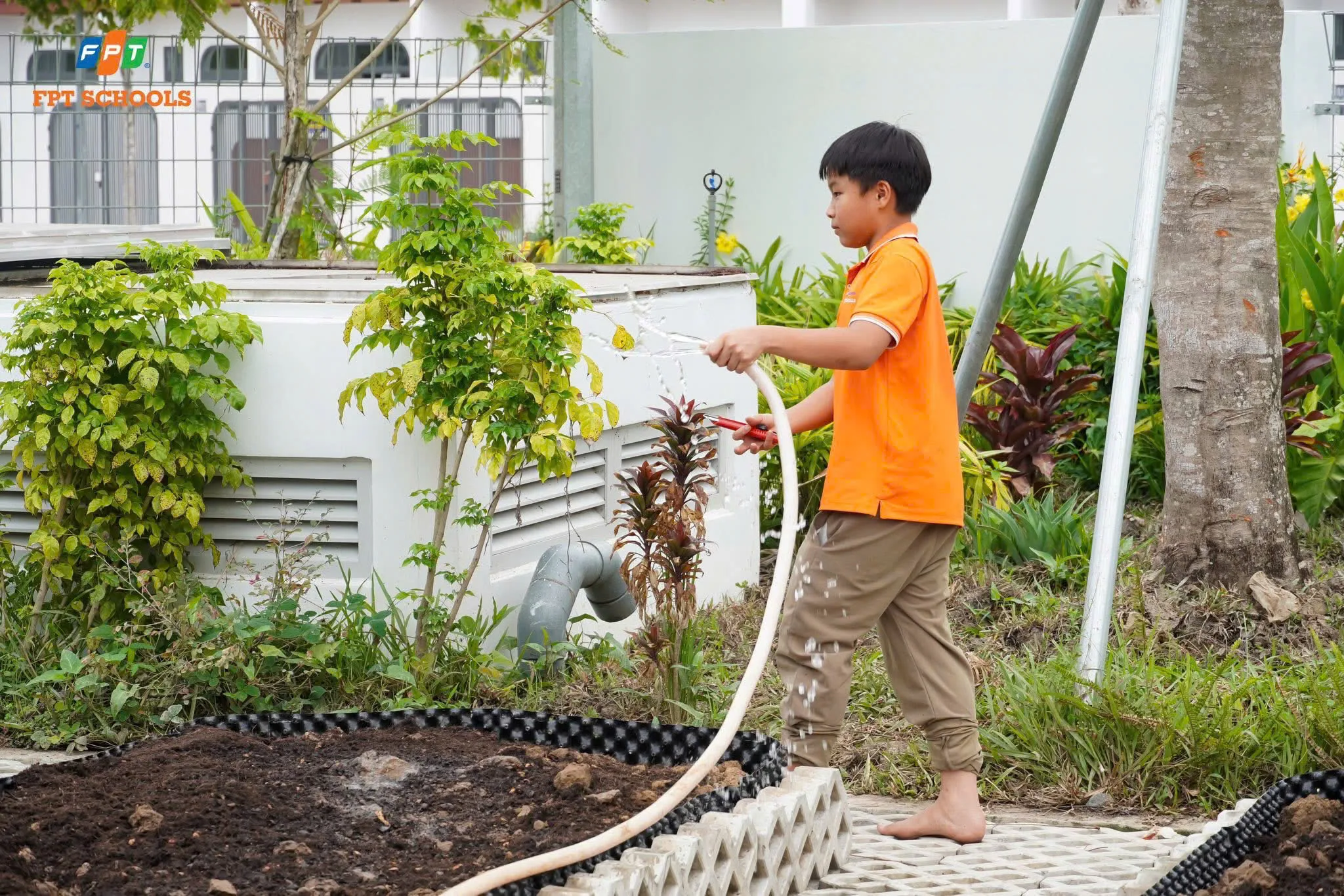 FSC ST CLB Sinh học