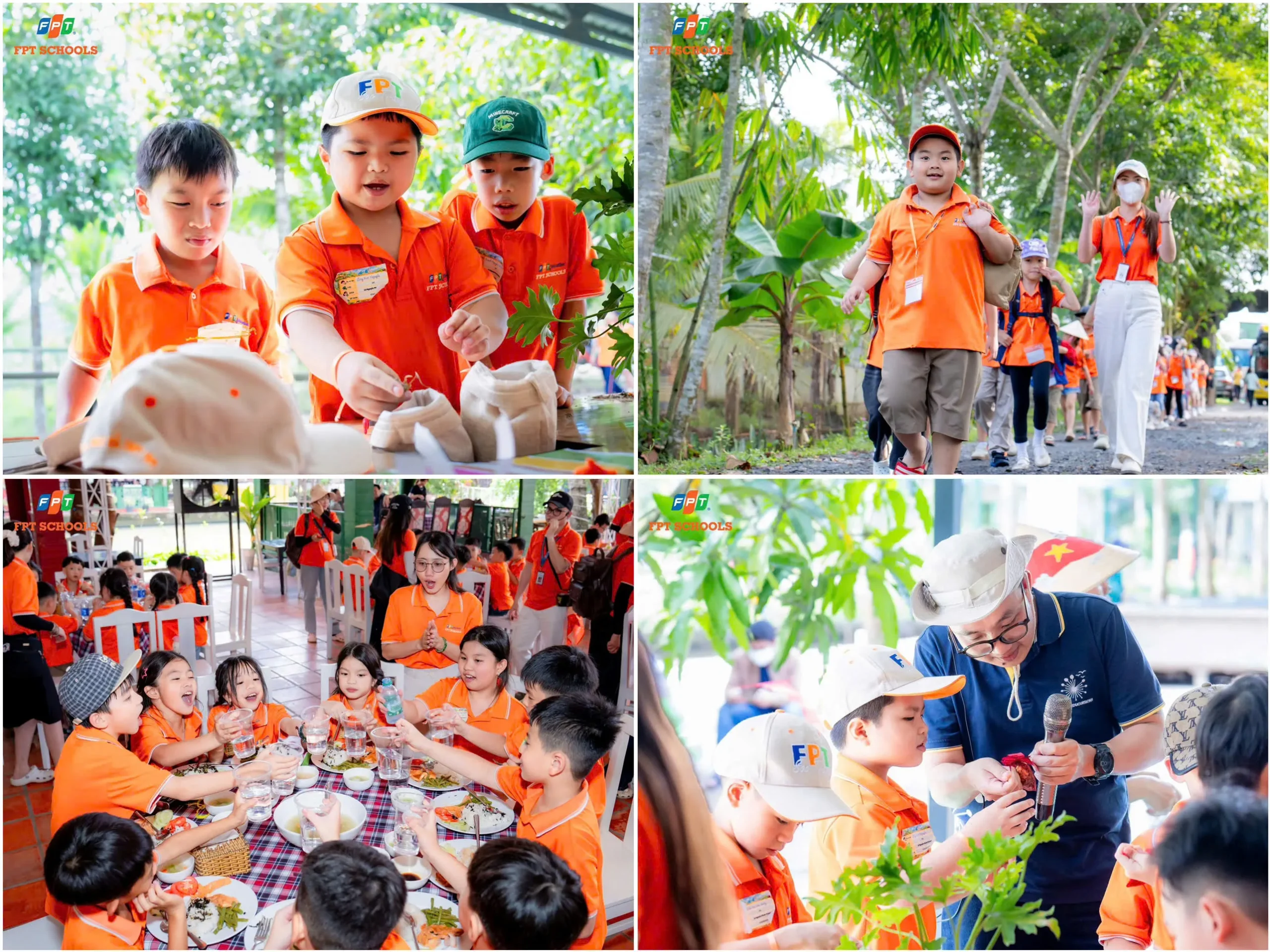 FSC ST Hoạt động trải nghiệm Mật mã xanh