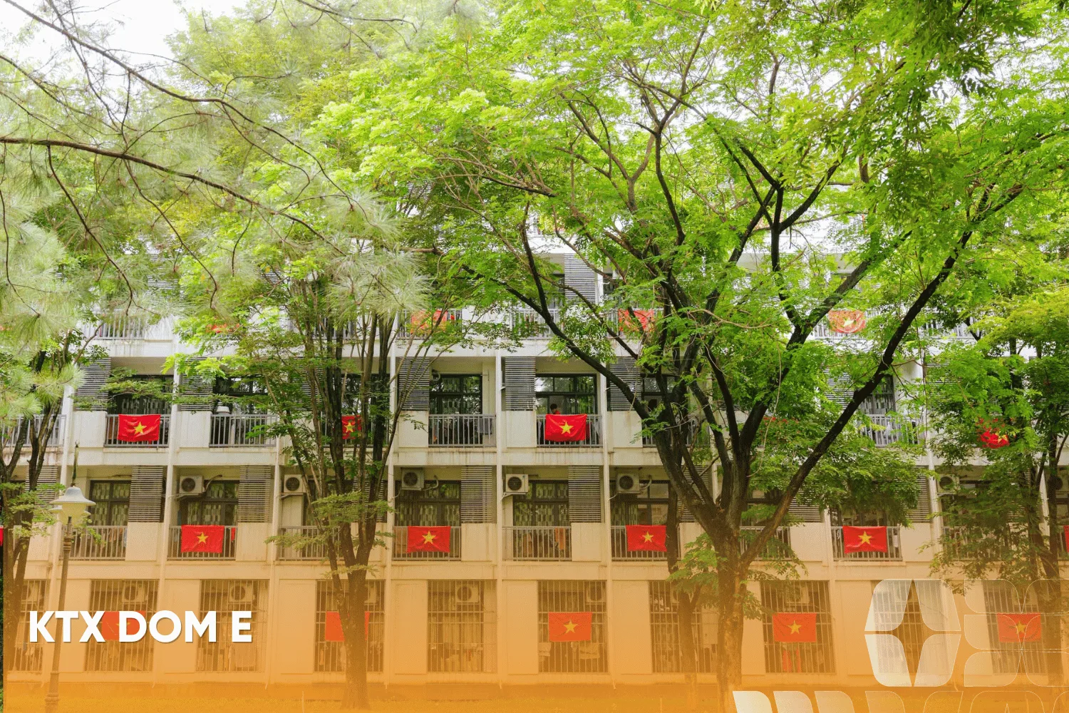 Trường THPT FPT Hà Nội | FPT Schools