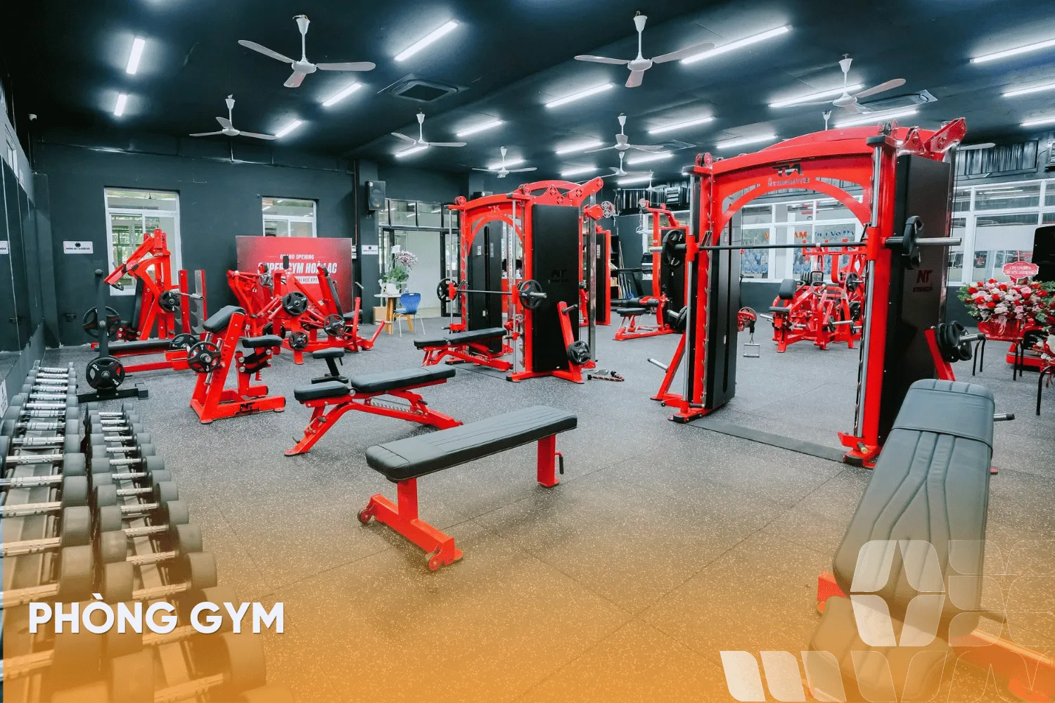 Trường THPT FPT Hà Nội | FPT Schools
