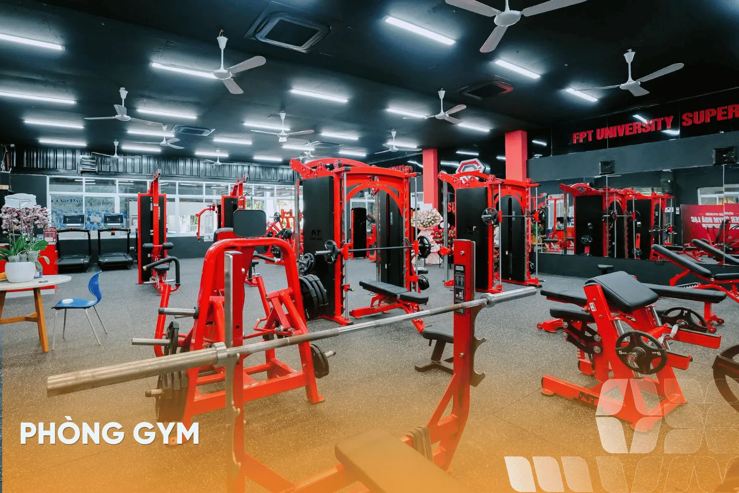 Trường THPT FPT Hà Nội | FPT Schools