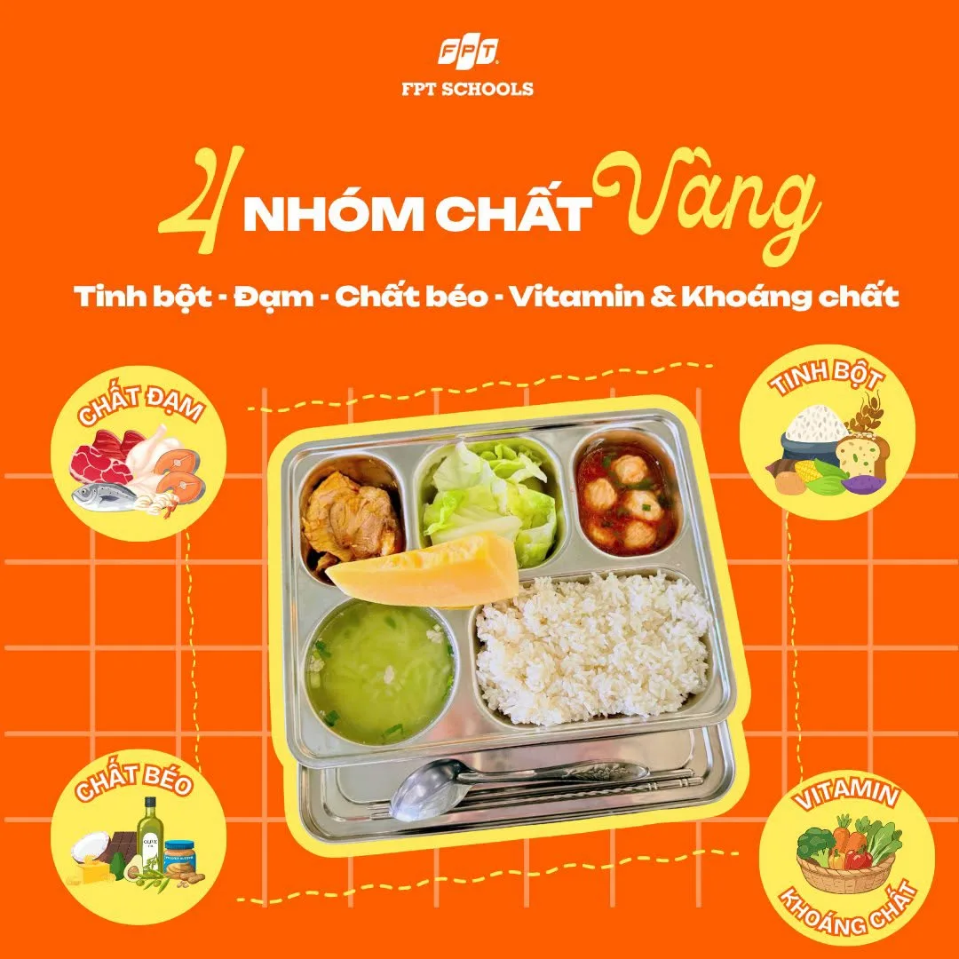 3 điểm cộng giúp ba mẹ an tâm về bữa ăn bán trú FPT School Hải Phòng - FPT Education 3 điểm cộng giúp ba mẹ an tâm về bữa ăn bán trú FPT School Hải Phòng | FPT Schools
